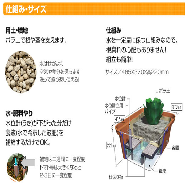 家庭菜園】誰でも簡単に取り組める水耕栽培の仕組みについて | eco 