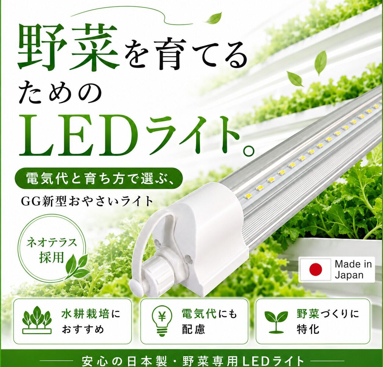植物育成ライトの電気代はいくら？W数だけで選ばない室内水耕栽培の 