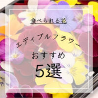 食べられる花 エディブルフラワーって？