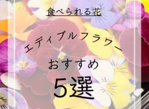 食べられる花 エディブルフラワーって？