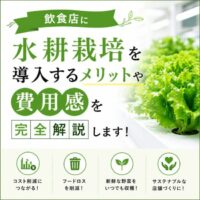 飲食店に水耕栽培を導入するメリットや費用感を完全解説します！