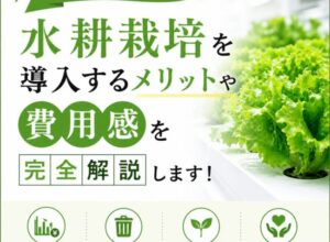 飲食店に水耕栽培を導入するメリットや費用感を完全解説します！