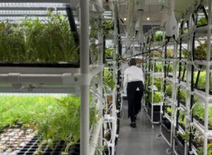 水耕栽培の植物工場が直面する「課題」とその「解決策」