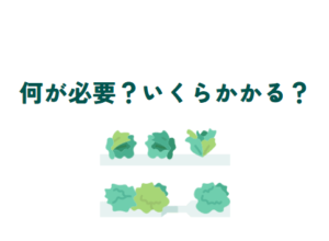 【植物工場】水耕栽培事業の初期費用からランニングコストまで