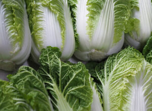 秋まき野菜は育てやすい！？おすすめの品種もご紹介！