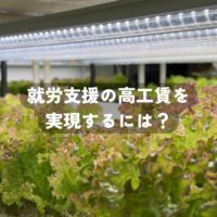 水耕栽培で「高付加価値野菜」を生み出し、就労支援の高工賃を実現する戦略は？