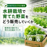 水耕栽培で育てた野菜をどう販売していくか