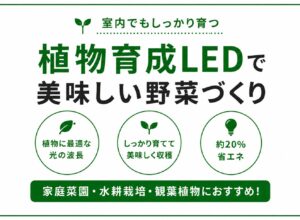 植物育成LEDとは？普通の照明との違いと、失敗しない選び方