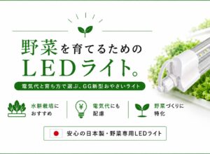 植物育成ライトの電気代はいくら？W数だけで選ばない室内水耕栽培の始め方