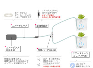 水耕栽培自作キットを作ろう！エアーポンプの役割って？