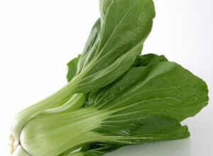 初心者でも簡単！チンゲン菜の水耕栽培