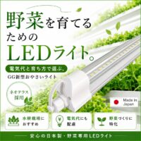 植物育成ライトの電気代はいくら？W数だけで選ばない室内水耕栽培の始め方