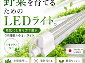 植物育成ライトの電気代はいくら？W数だけで選ばない室内水耕栽培の始め方