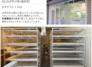 植物工場の新しい事例！都会の店舗が畑（HATAKE）になる。
