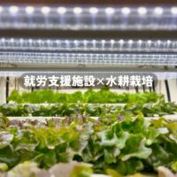 【農福連携】水耕栽培が就労支援に最適な理由とは？低コストで立ち上げするには？