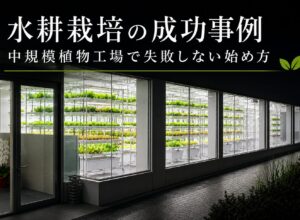 水耕栽培の成功事例｜中小規模植物工場で失敗しない始め方