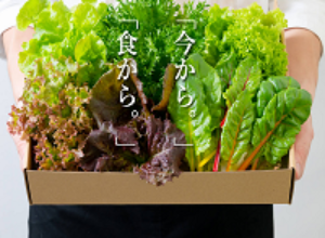 植物工場の将来性と可能性が社会に認知され始めています。