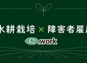 水耕栽培型のおすすめ障害者雇用支援サービスは？選び方とGG.workの紹介