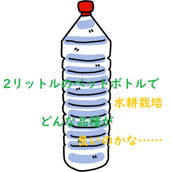 水耕栽培2リットルペットボトル