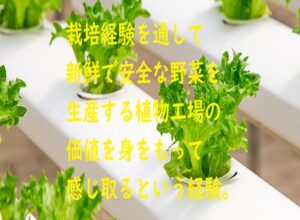 植物工場プロジェクトを任された方へ：成功へのファーストステップ