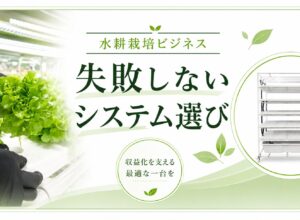水耕栽培ビジネスを始める前に知っておきたい、失敗しないシステム選び