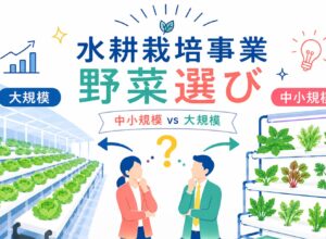 水耕栽培事業に向いている野菜の選び方｜中小規模・大規模で変わる品種戦略