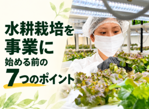 水耕栽培を事業として始めるには？導入前に考えておきたい7つのポイント
