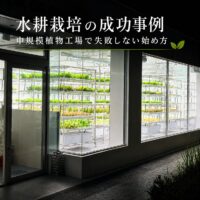 水耕栽培の成功事例｜中小規模植物工場で失敗しない始め方