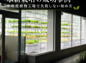 水耕栽培の成功事例｜中小規模植物工場で失敗しない始め方