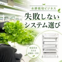 水耕栽培ビジネスを始める前に知っておきたい、失敗しないシステム選び