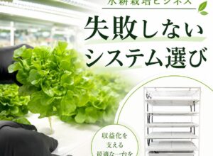 水耕栽培ビジネスを始める前に知っておきたい、失敗しないシステム選び
