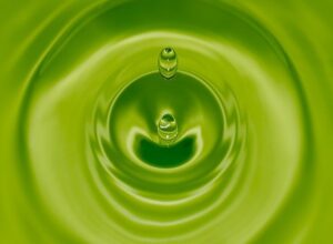 水耕栽培で発生しがちな藻（アオコ）の対策について