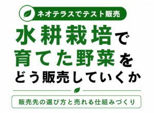 水耕栽培で育てた野菜をどう販売していくか
