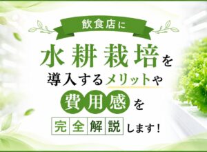 飲食店に水耕栽培を導入するメリットや費用感を完全解説します！
