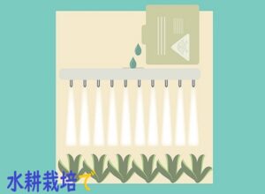 無農薬野菜の作り方に自信あり！水耕栽培の強みのひとつです。