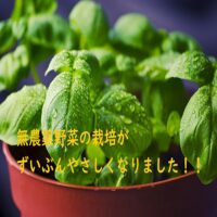 【植物工場】無農薬野菜を栽培するメリットとデメリット