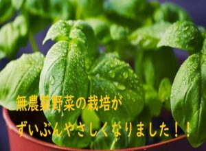植物工場の成功を目指してメリット・デメリットを知っておこう！